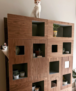 Cat Tree with Bookshelf