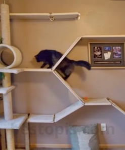 Cat Tree with Decorative Shelves