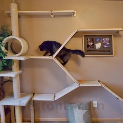 Cat Tree with Decorative Shelves