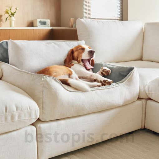 Sofa with Built-in Pet Bed