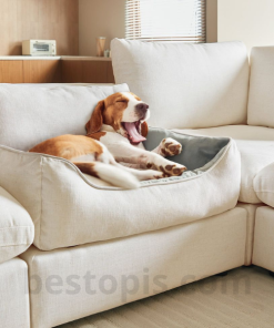 Sofa with Built-in Pet Bed