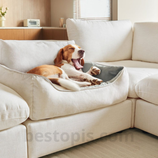 Sofa with Built-in Pet Bed