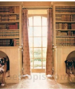 Bookshelf with Pet Bed