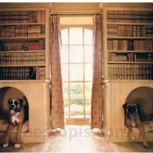 Bookshelf with Pet Bed